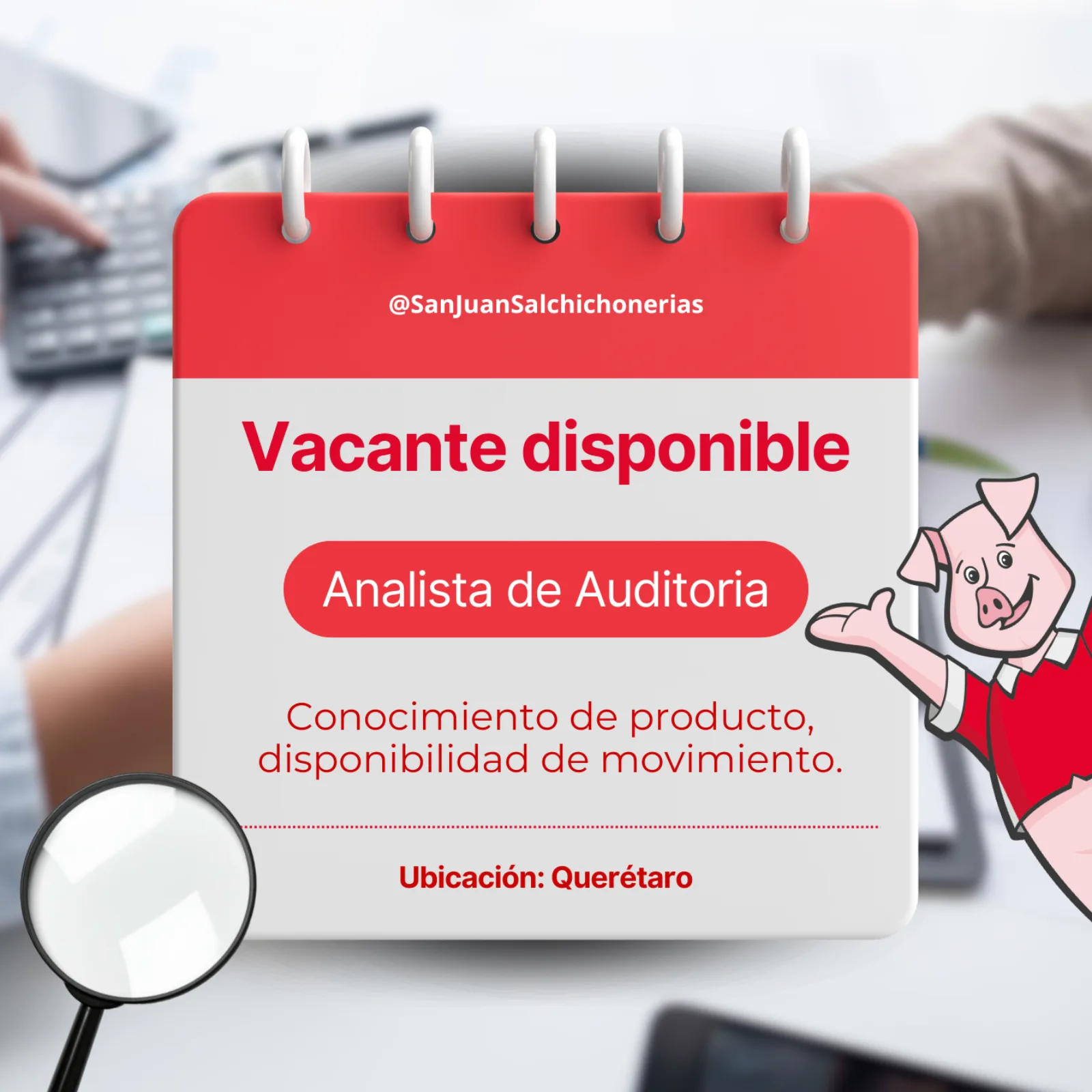 Analista Auditoria