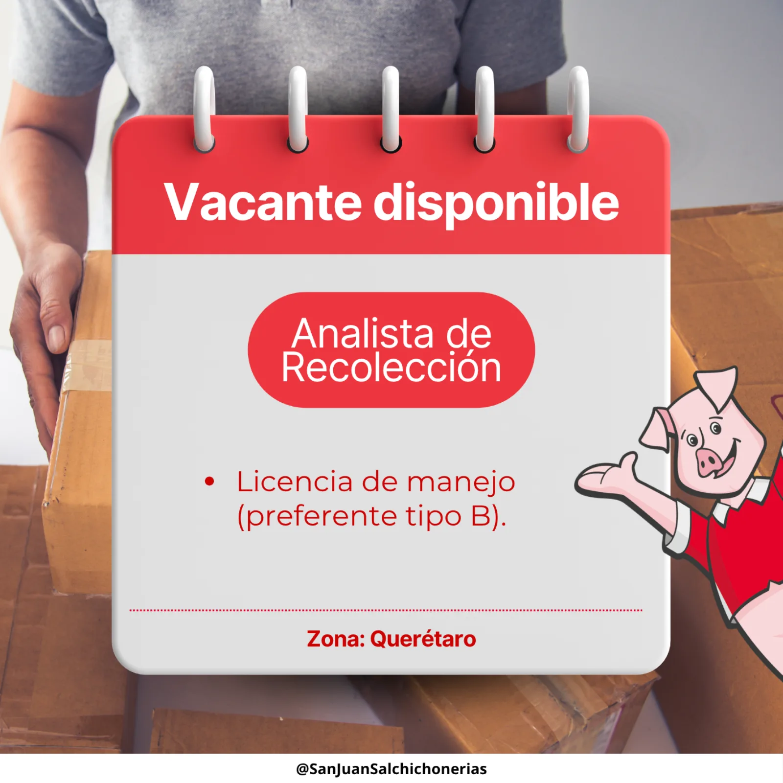 Recoleccion analis