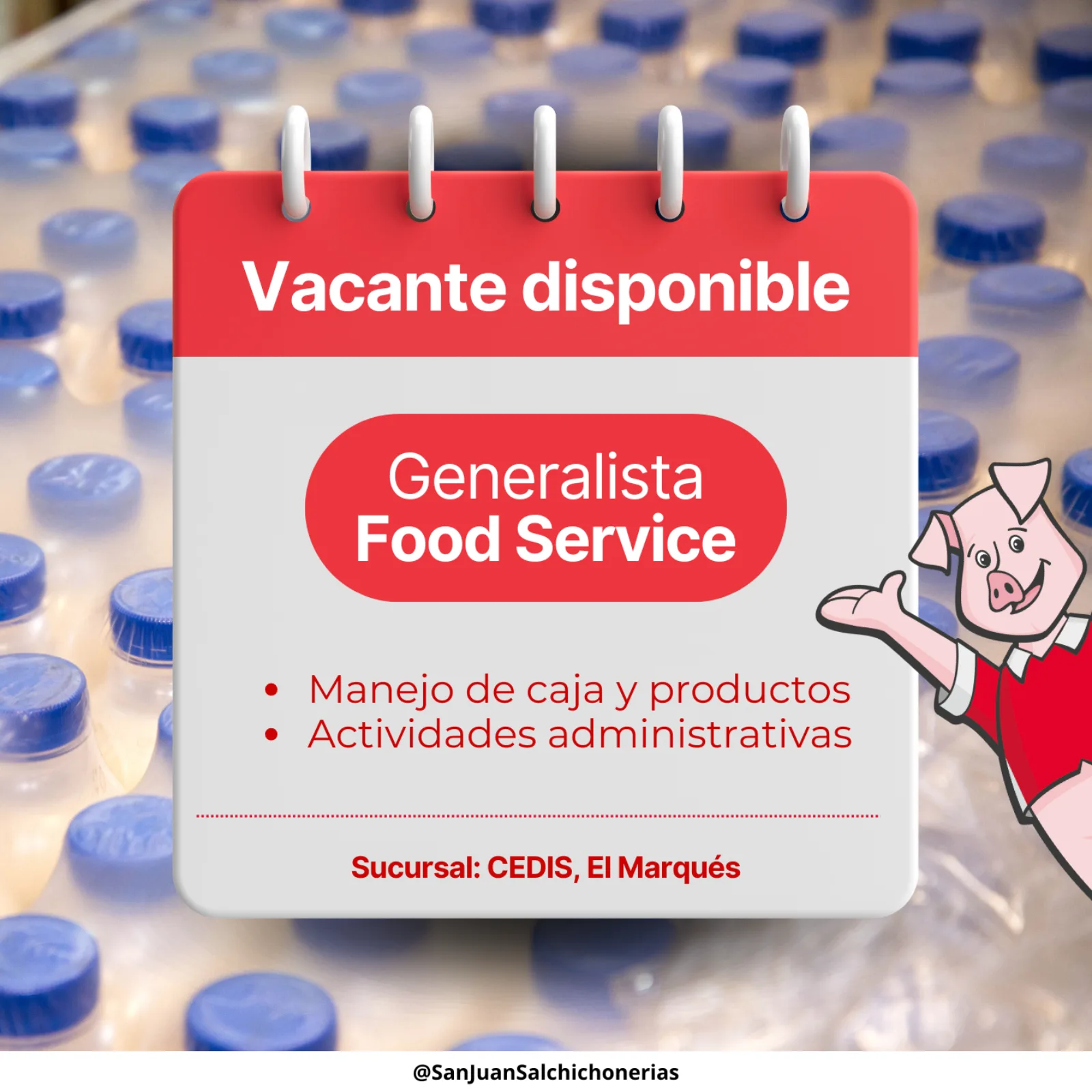 Gral Food S MRQ